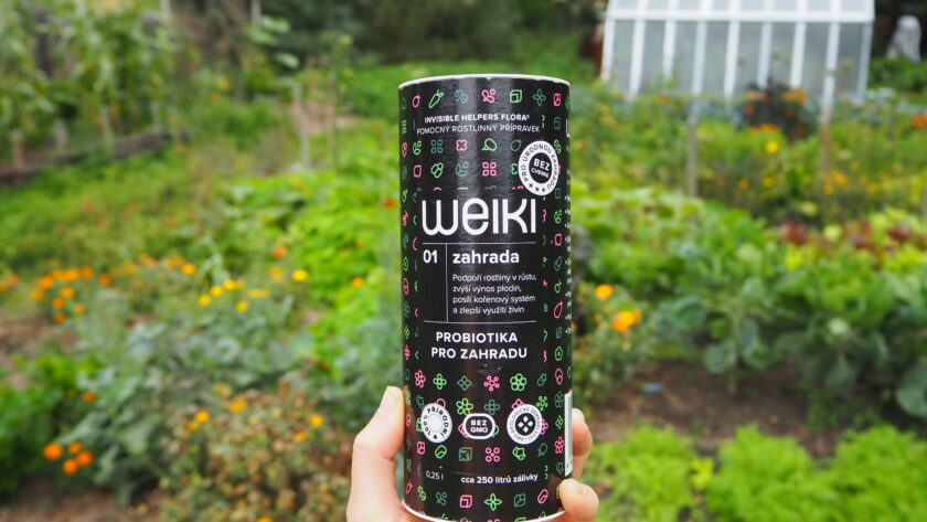 weiki recenze