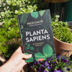 planta sapiens