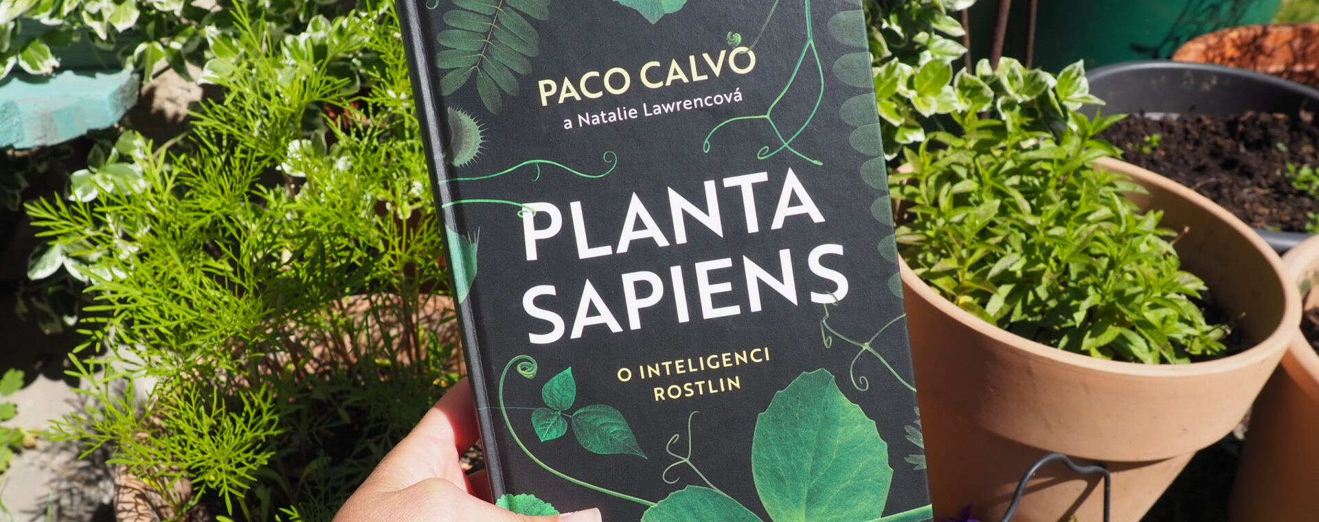 planta sapiens