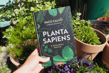 planta sapiens