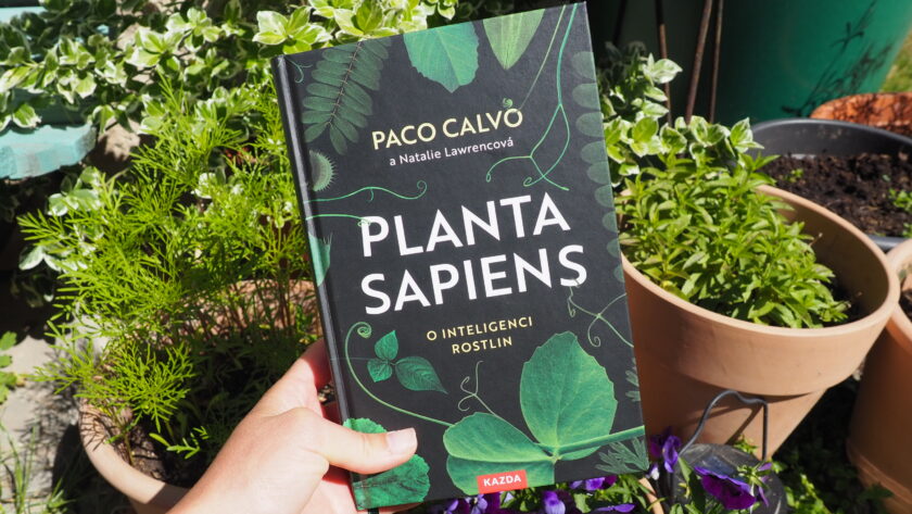planta sapiens