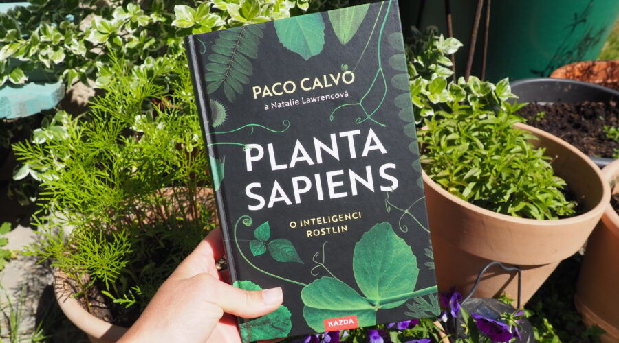 planta sapiens