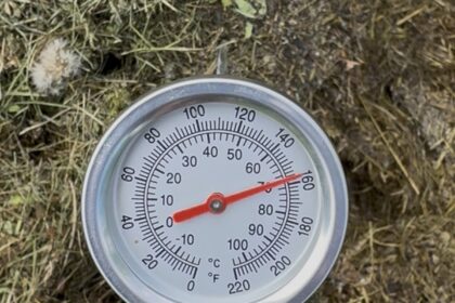 Kompostový teploměr v hromadě trávy ukazuje 70 °C, teplotu která ničí semena plevele