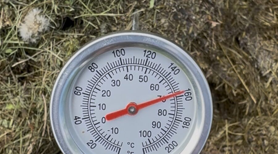 Kompostový teploměr v hromadě trávy ukazuje 70 °C, teplotu která ničí semena plevele